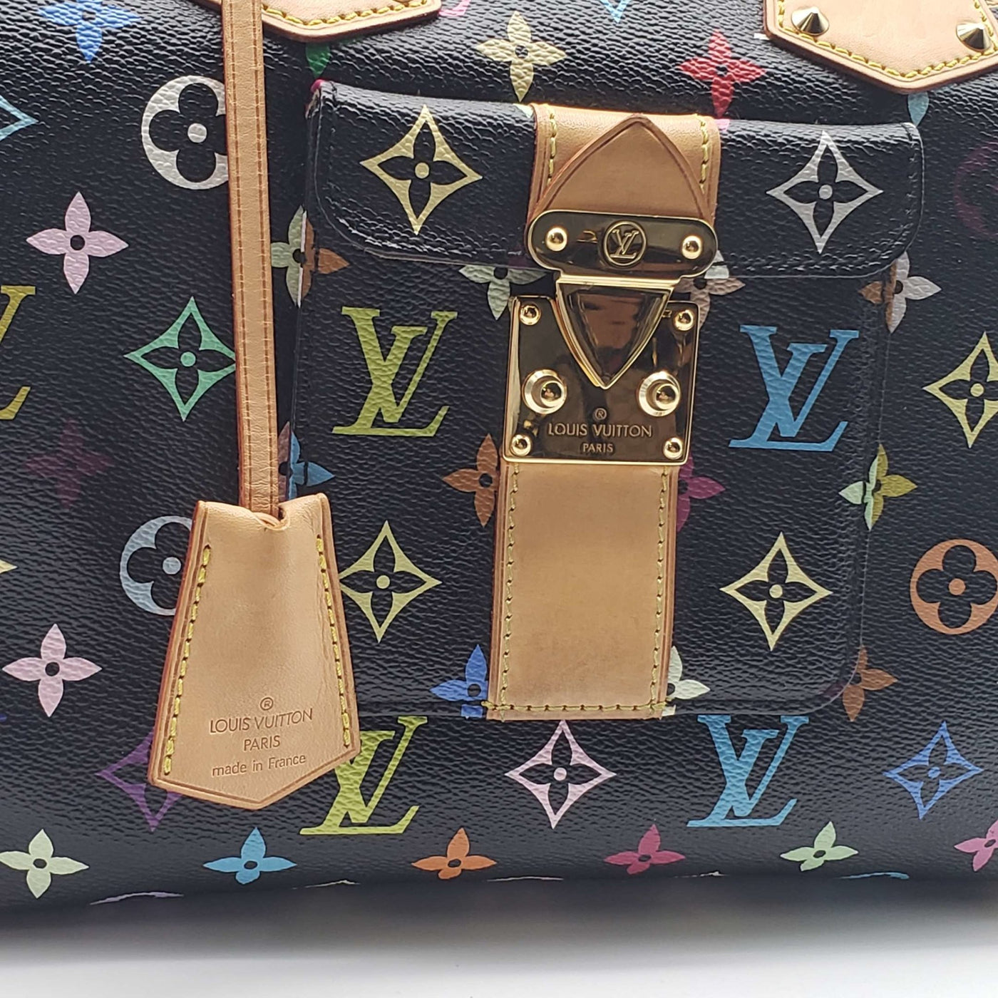Louis Vuitton Speedy 30 Multicolor Hand Bag | Luxury Cheaper.