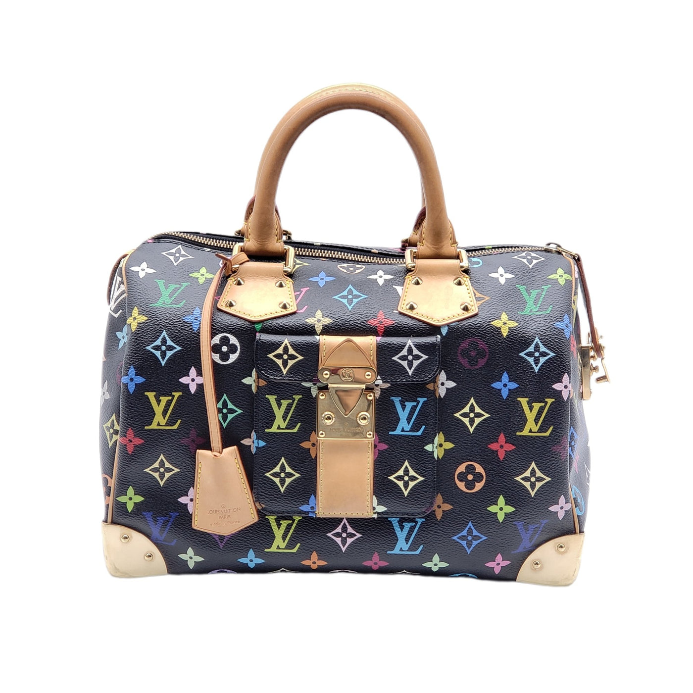 Louis Vuitton Speedy 30 Multicolor Hand Bag | Luxury Cheaper.